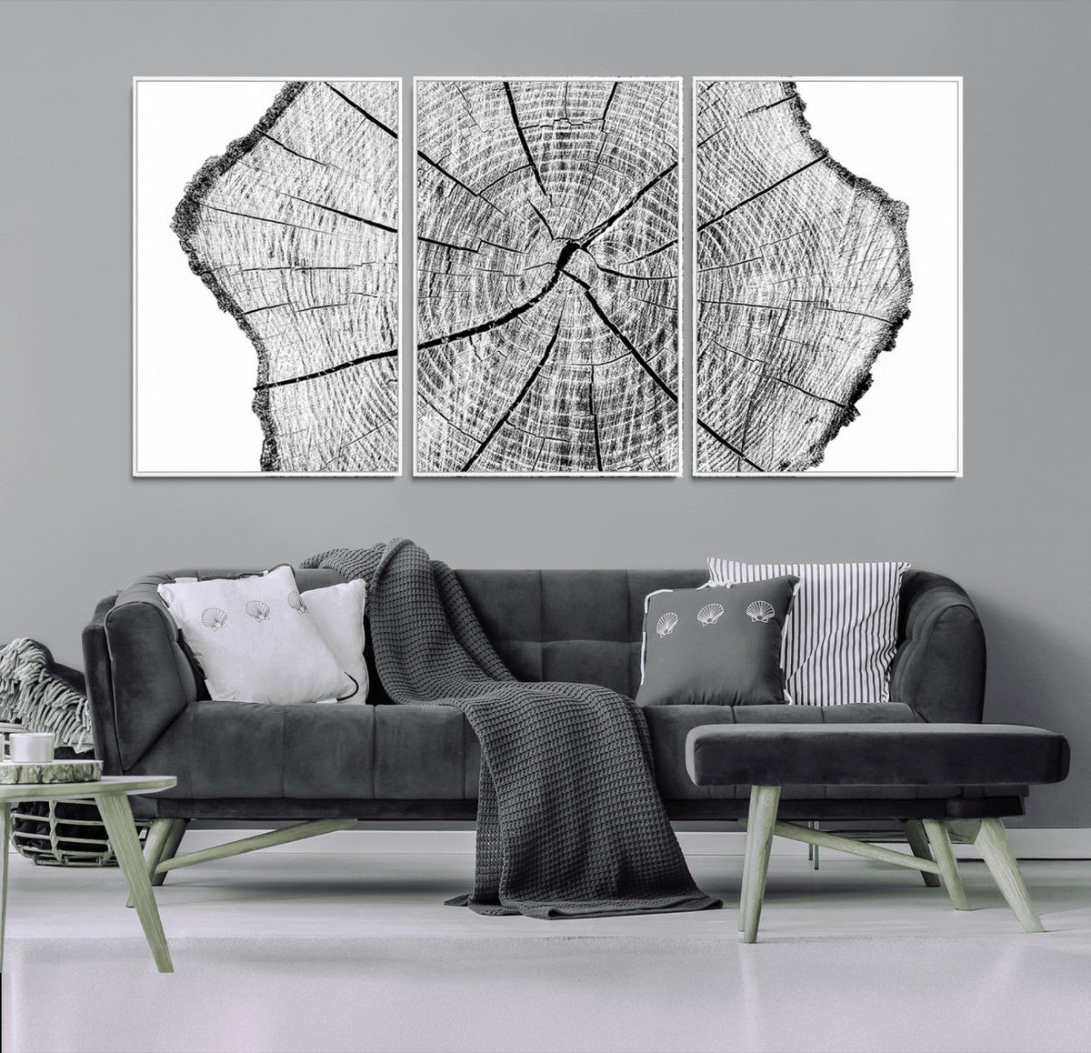 Rustic Tree Ring Wall Art Canvas Print, Framed and Ready to Hang