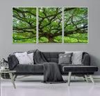 Ancient Tree Wall Art Canvas Print, Framed Sprawling Branches