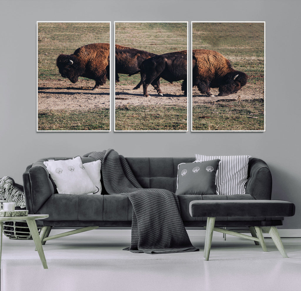 Bison Wall Art Canvas Print, Framed Western Wildlife Modern Ranch