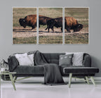 Bison Wall Art Canvas Print, Framed Western Wildlife Modern Ranch