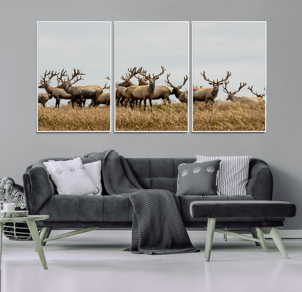 Elk Herd Wall Art Canvas Print, Framed Wildlife Photography Art, Majestic Antlers Rustic Wildlife Decor