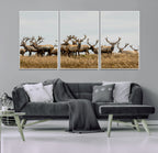 Elk Herd Wall Art Canvas Print, Framed Wildlife Photography Art, Majestic Antlers Rustic Wildlife Decor