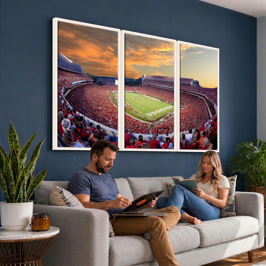 Dooley Stadium Wall Art, Sports Arena Canvas Print, Dooley Field, Framed and Ready to Hang