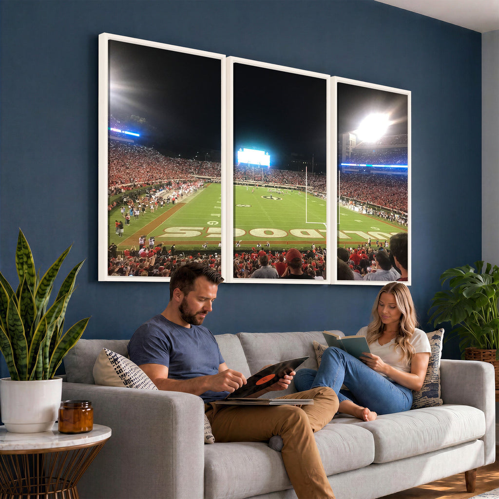 Dooley Stadium Wall Art, Sports Arena Panoramic Canvas