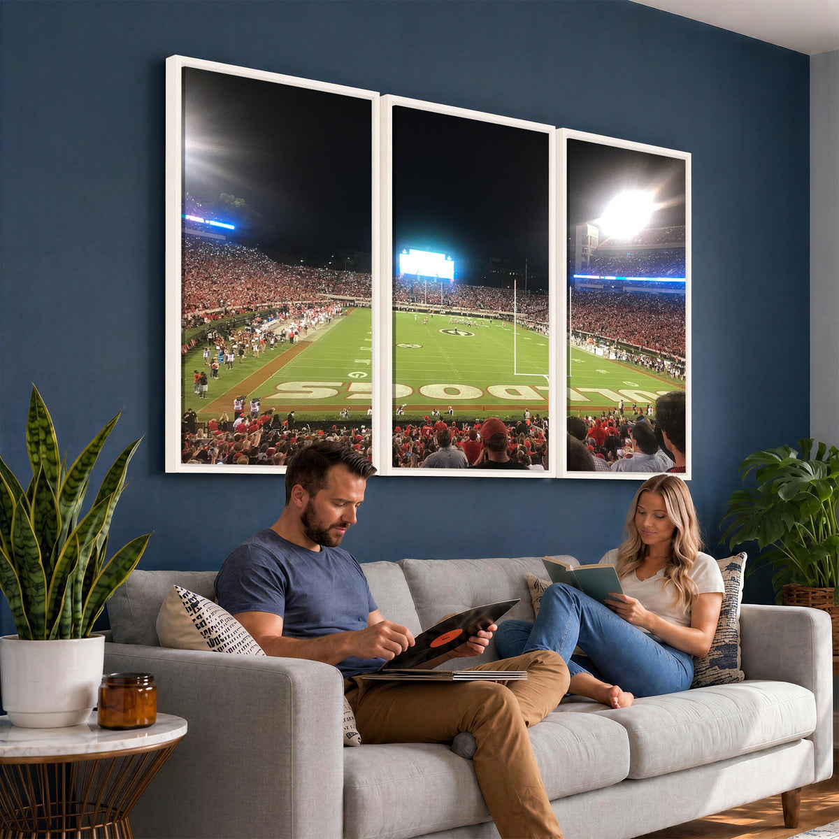 Dooley Stadium Wall Art, Sports Arena Panoramic Canvas