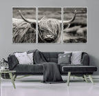 Cow Focus Canvas Wall Art Print