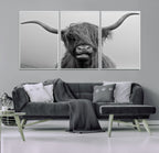 Texas Cow Wall Art Canvas, Texas Longhorn Cattle Canvas Print
