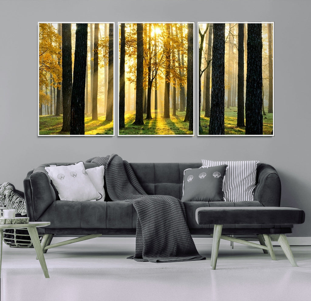 Sunlit Forest Wall Art Canvas Print, Large Framed Woodland Scene with Golden Light