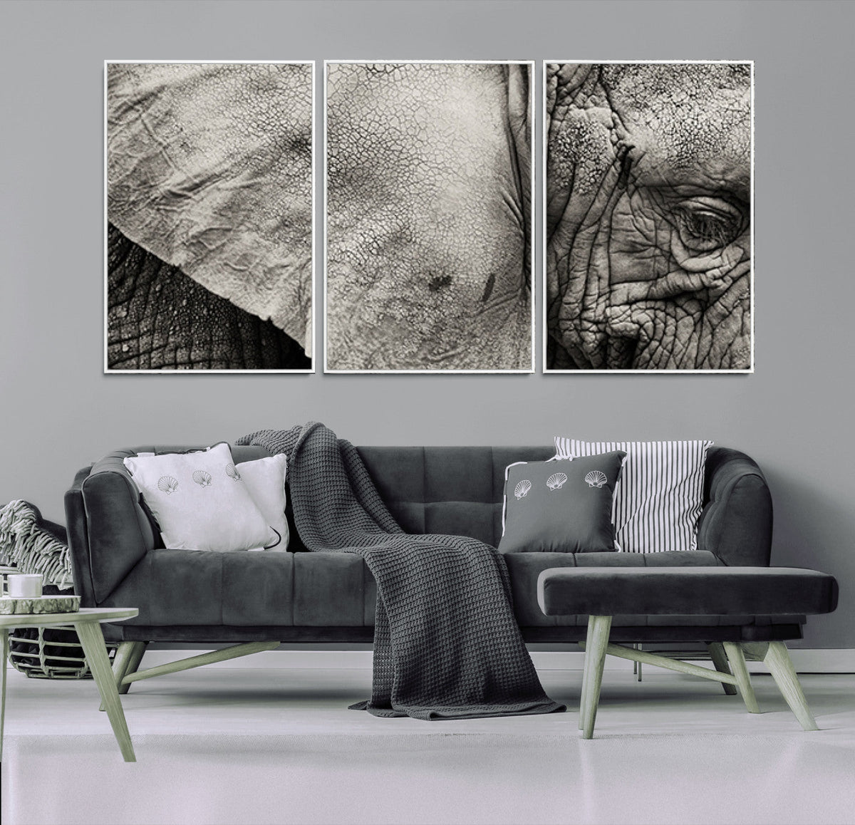 Elephant Wall Art Canvas Print