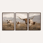 Rustic Texas Longhorn Cow Canvas Wall Art Print, Farm Animal Photography
