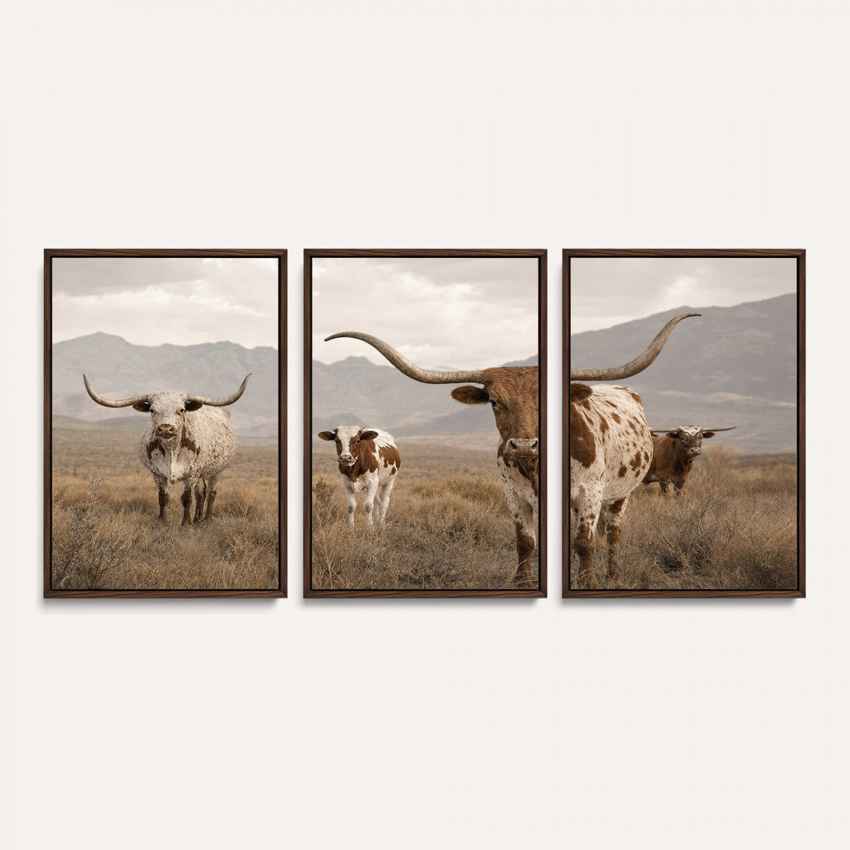 Rustic Texas Longhorn Cow Canvas Wall Art Print, Farm Animal Photography