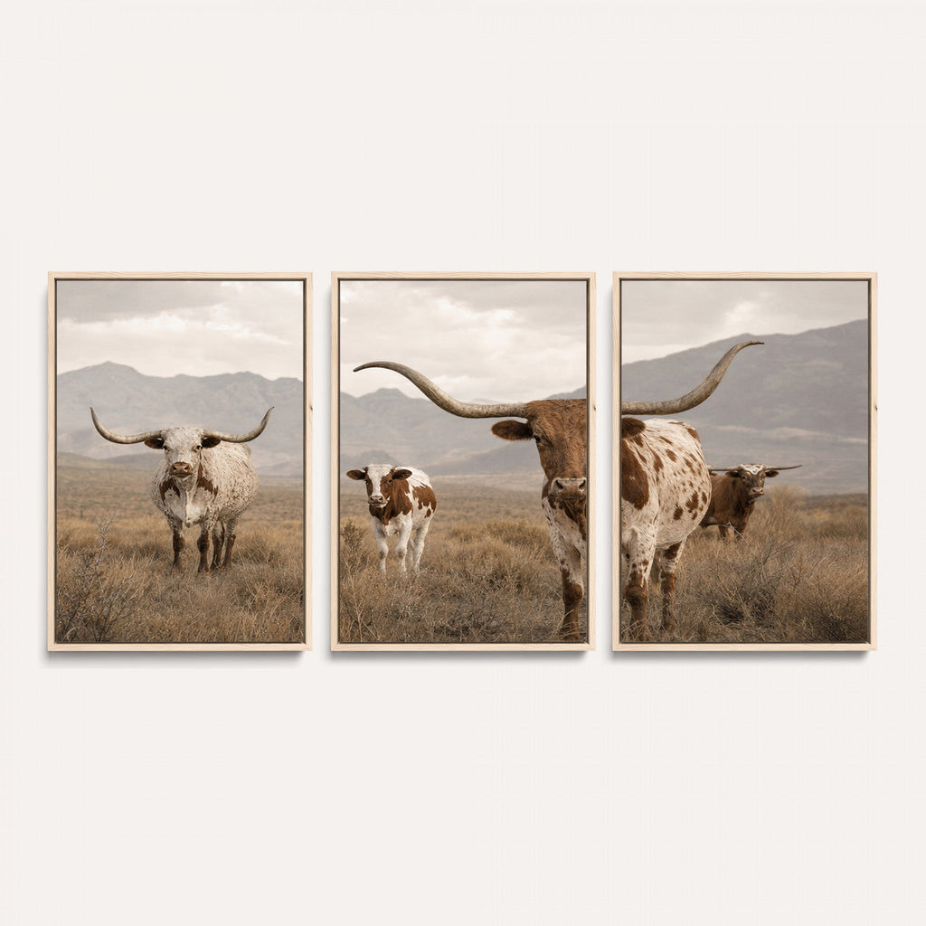 Rustic Texas Longhorn Cow Canvas Wall Art Print, Farm Animal Photography