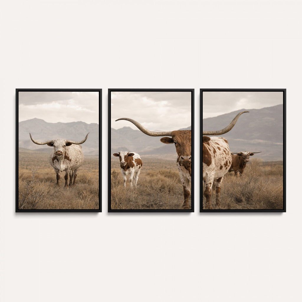 Rustic Texas Longhorn Cow Canvas Wall Art Print, Farm Animal Photography