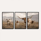 Rustic Texas Longhorn Cow Canvas Wall Art Print, Farm Animal Photography