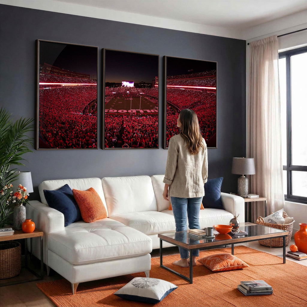 Dooley Stadium Wall Art, Sports Arena Canvas Print, Dooley Field Sanford Stadium