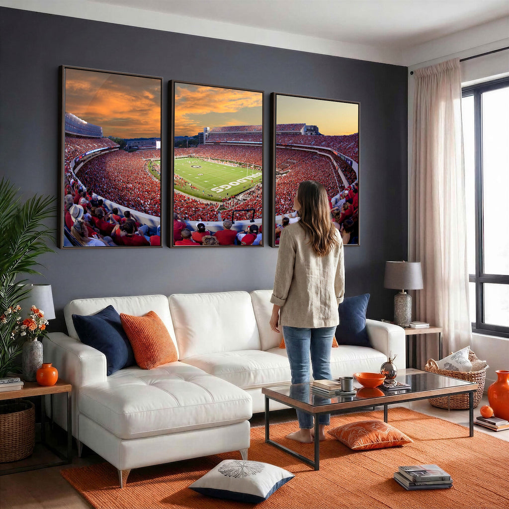 Dooley Stadium Wall Art, Sports Arena Canvas Print, Dooley Field, Framed and Ready to Hang