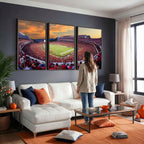 Dooley Stadium Wall Art, Sports Arena Canvas Print, Dooley Field, Framed and Ready to Hang