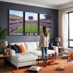 TCU Horned Frogs Football Team Print, Fort Worth Amon G. Carter Stadium, Framed and Ready to Hang