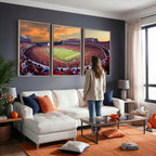 Dooley Stadium Wall Art, Sports Arena Canvas Print, Dooley Field, Framed and Ready to Hang