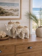 Elephant w/Shells set of 2