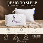 Signature™ 100% Canadian Down Pillow - Set