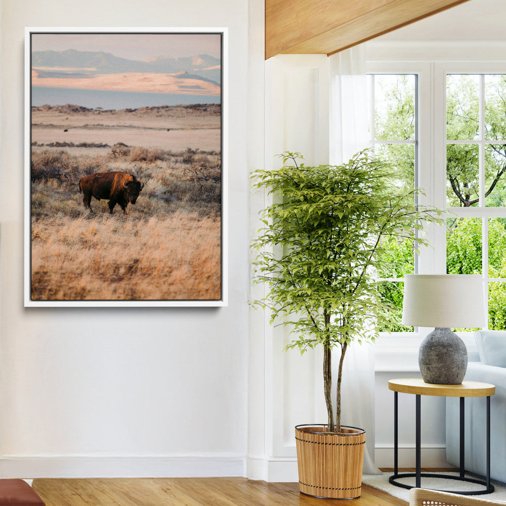 Solitary Buffalo Wall Art Canvas Print, Framed Golden Prairie Earthy Tones