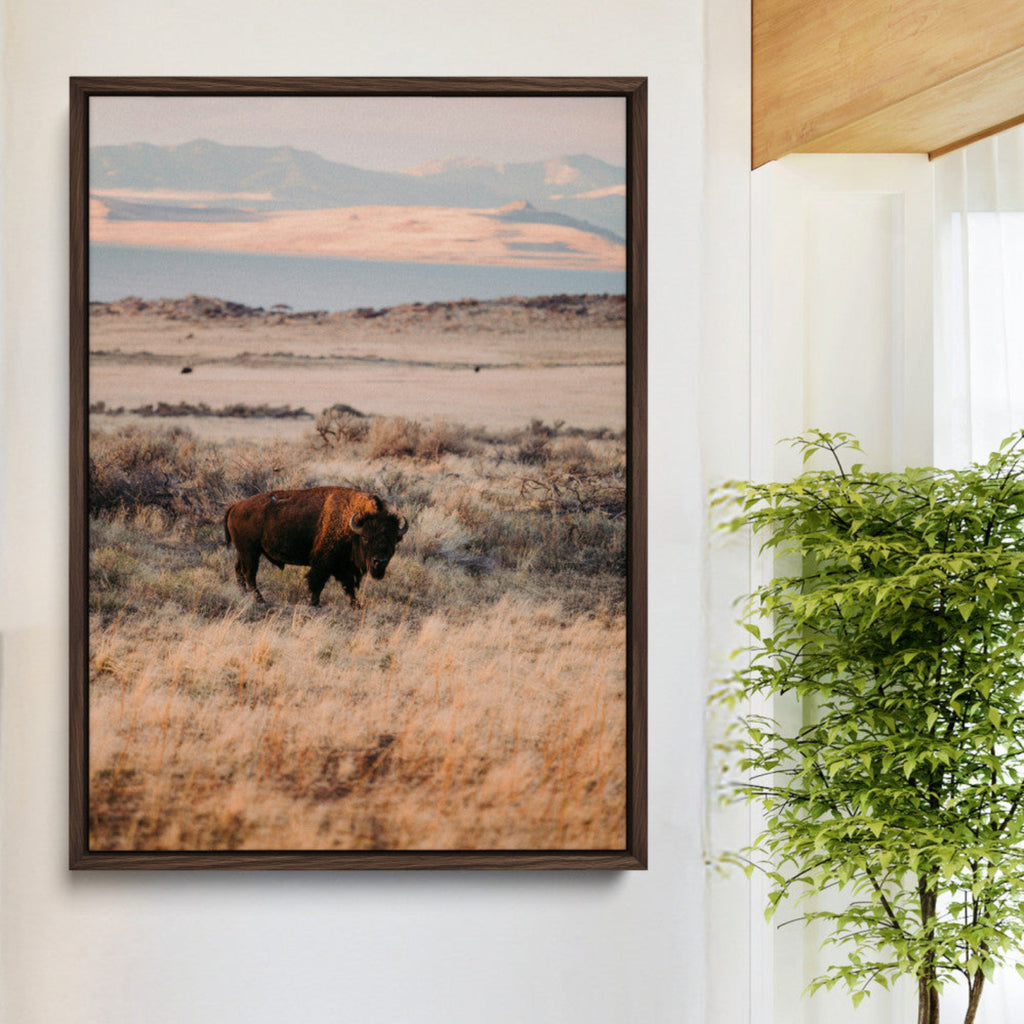 Solitary Buffalo Wall Art Canvas Print, Framed Golden Prairie Earthy Tones