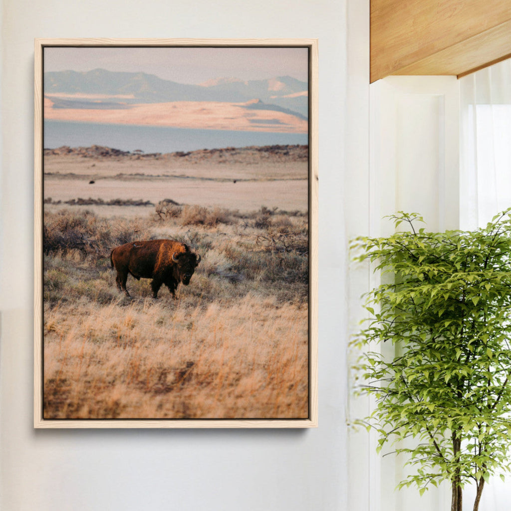 Solitary Buffalo Wall Art Canvas Print, Framed Golden Prairie Earthy Tones