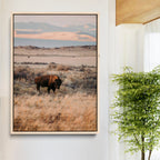 Solitary Buffalo Wall Art Canvas Print, Framed Golden Prairie Earthy Tones