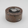 Ammonite and Orthoceras Fossil Round Box