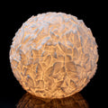 Cast Resin Butterfly Sphere Lamp // Large