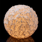 Cast Resin Butterfly Sphere Lamp // Large