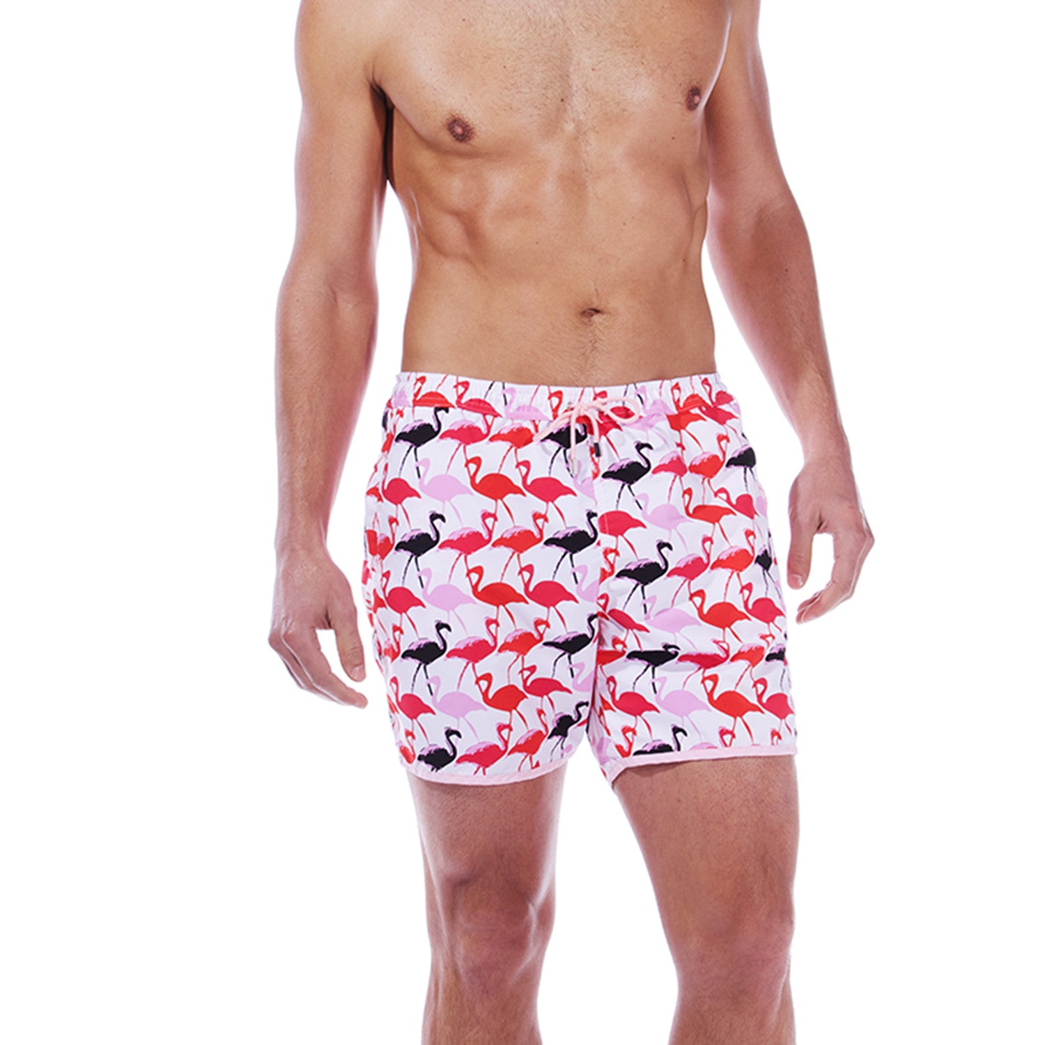 Paris Beach Flamingo Print Swim Trunks // Rose