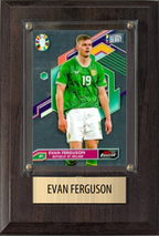 Evan Ferguson Republic of Ireland World Cup Soccer 2026 Fan Gift Plaque 4x6 1 Card Panini, Topps, Donruss 2024 2025 2026