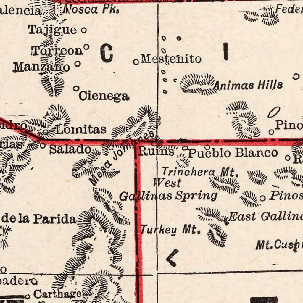 Vintage Map of New Mexico 1893