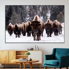 Bison Wall Art Canvas Print, Bison Herd Canvas Wall Art