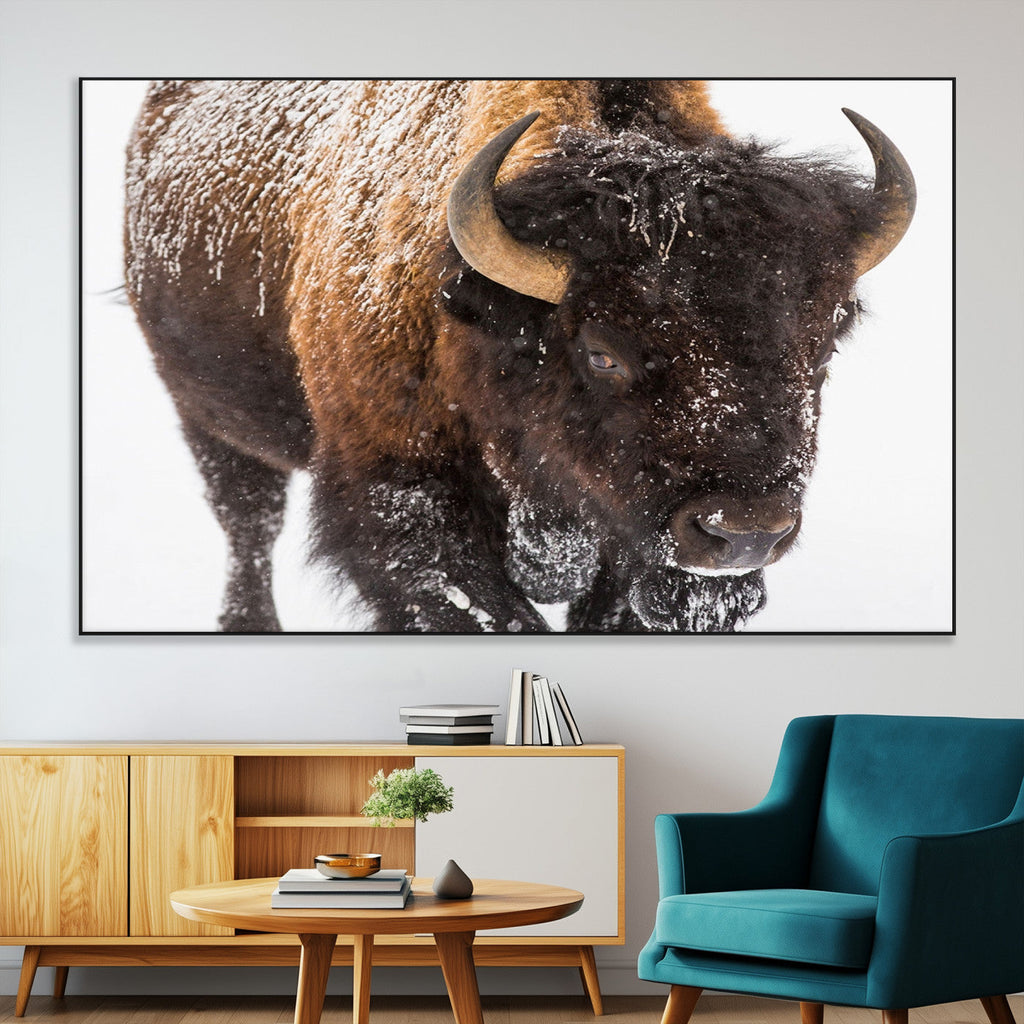 Bison Wall Art Canvas Print For Farmhouse, Wild Animal Wall Art