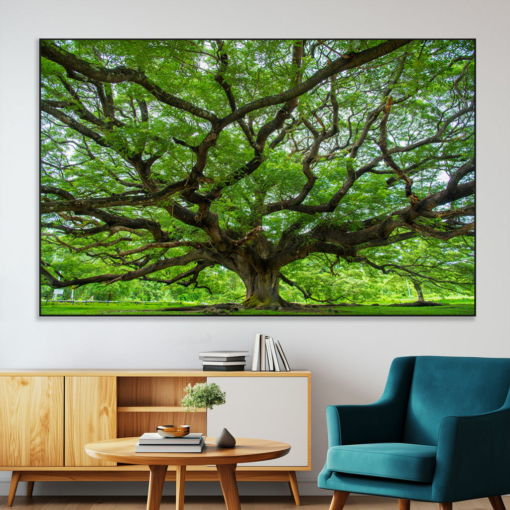 Ancient Tree Wall Art Canvas Print, Framed Sprawling Branches