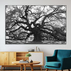 Ancient Oak Wall Art Canvas Print | Gnarled Tree with Twisted Branches