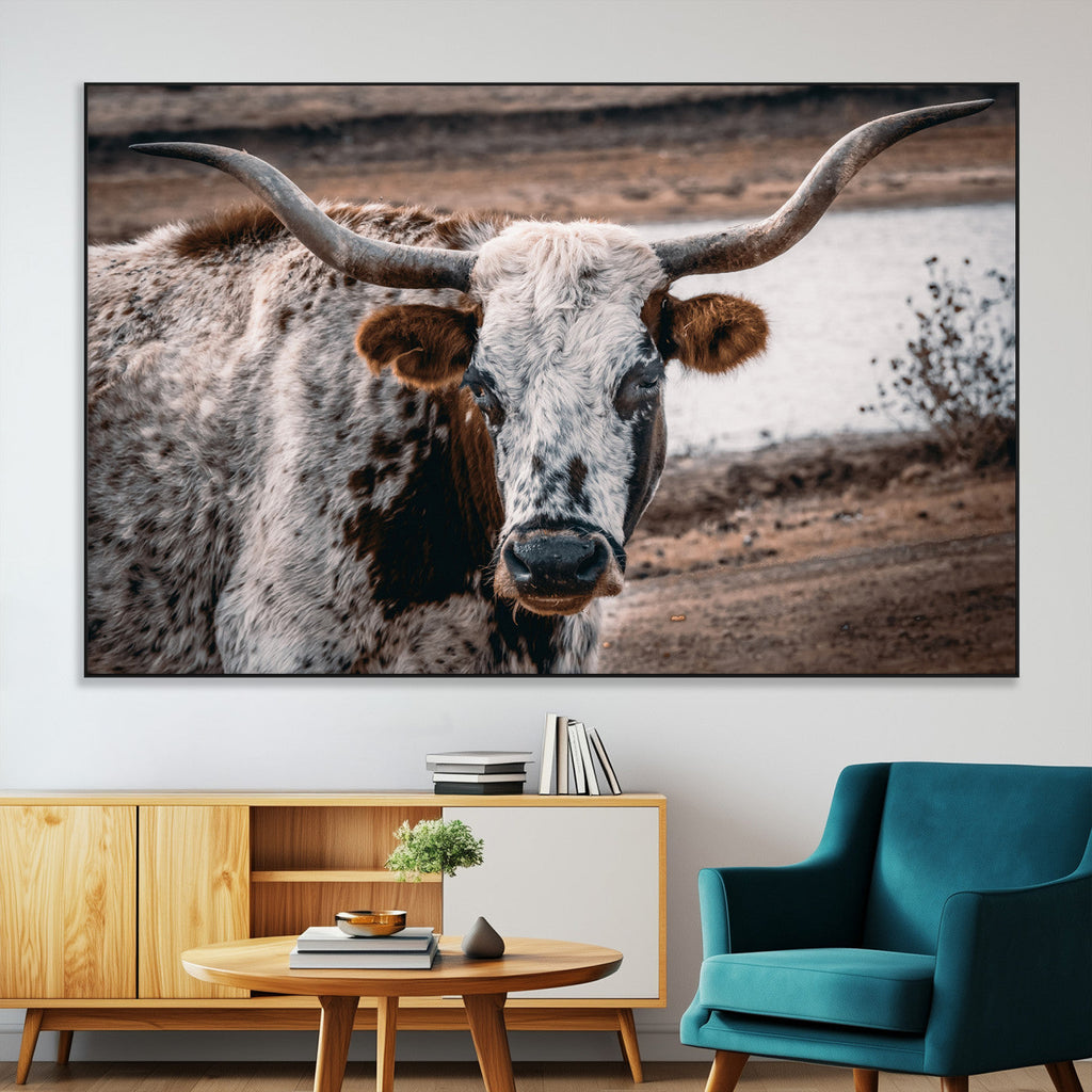 Texas Longhorn Wall Art Canvas Print | Framed Brown and White Spotted Longhorn