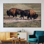 Bison Wall Art Canvas Print, Framed Western Wildlife Modern Ranch