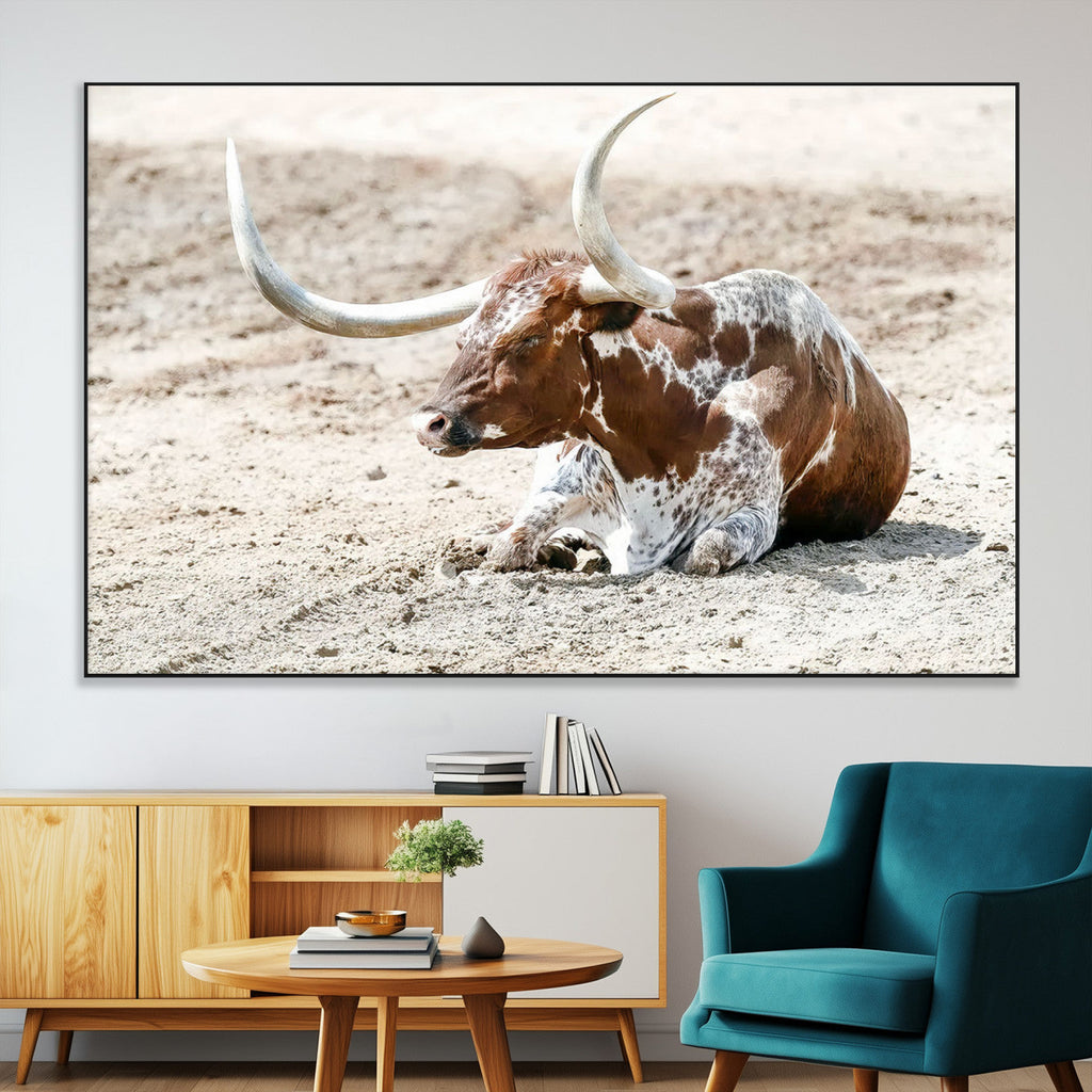 Majestic Longhorn Wall Art Canvas Print, Resting on Sunlit Desert Ground