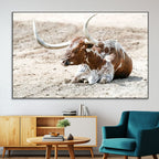 Majestic Longhorn Wall Art Canvas Print, Resting on Sunlit Desert Ground