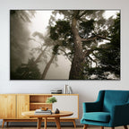 Misty Forest Wall Art Canvas Print, Framed Tall Trees in Foggy Atmosphere