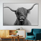 Texas Cow Wall Art Canvas, Texas Longhorn Cattle Canvas Print