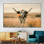 Texas Cow Wall Art Canvas Print for Farm House Wall Decor