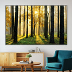 Sunlit Forest Wall Art Canvas Print, Large Framed Woodland Scene with Golden Light