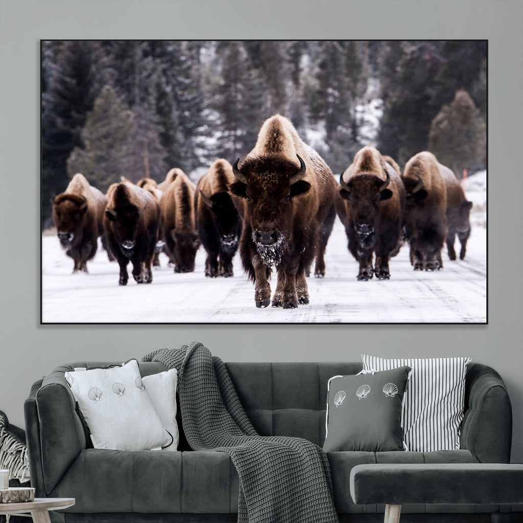 Bison Wall Art Canvas Print, Bison Herd Canvas Wall Art