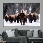 Bison Wall Art Canvas Print, Bison Herd Canvas Wall Art