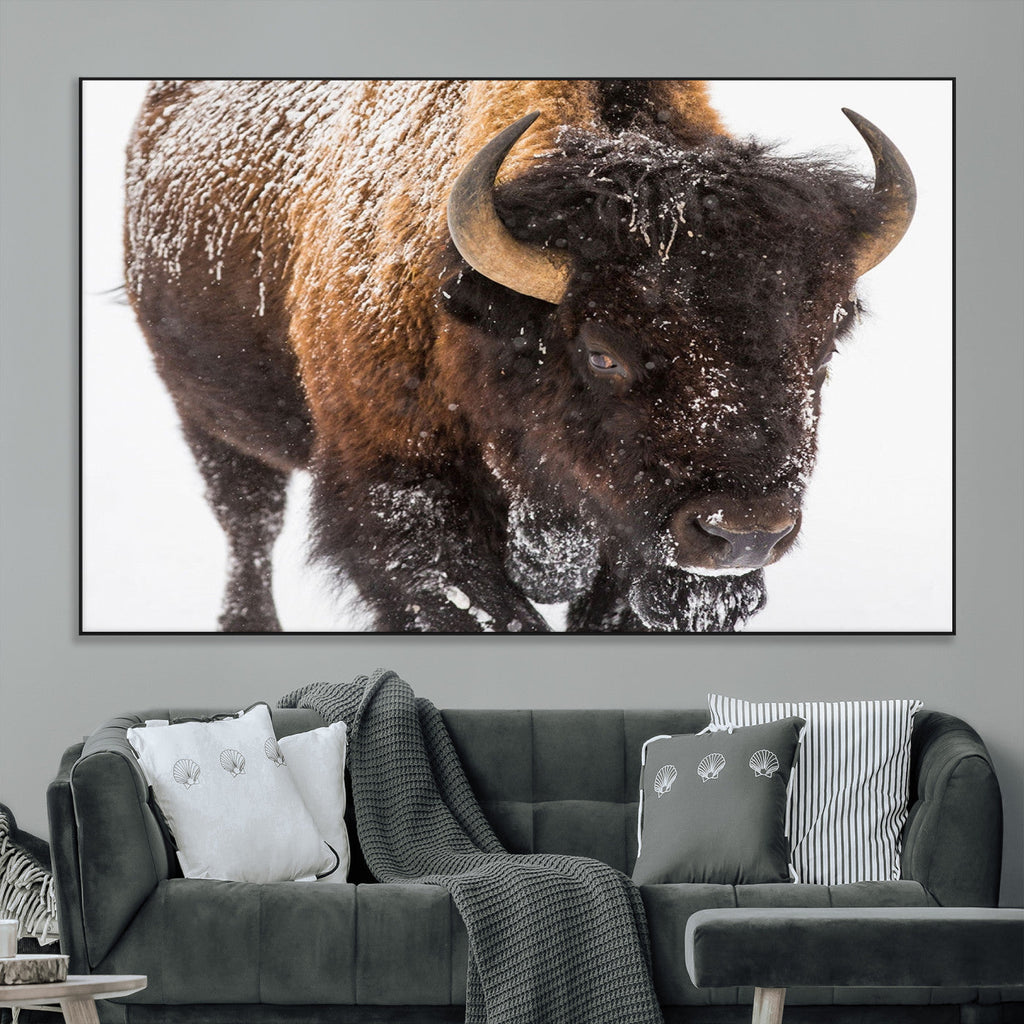 Bison Wall Art Canvas Print For Farmhouse, Wild Animal Wall Art